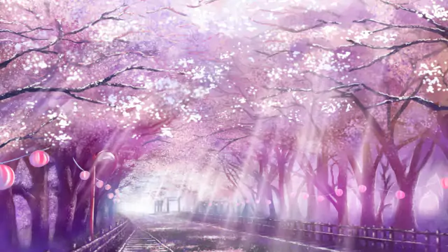 Cherry Blossoms ❀❀❀ Std/CtB