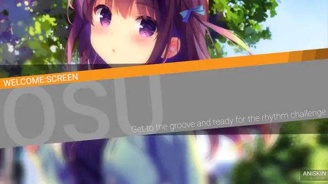 ANISKIN HD/SD